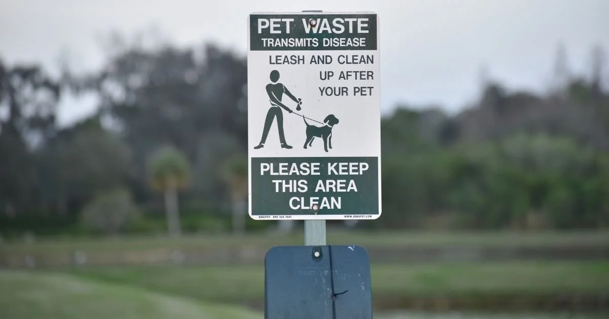 The Environmental Impact of Pet Waste & How to Manage It Sustainably
