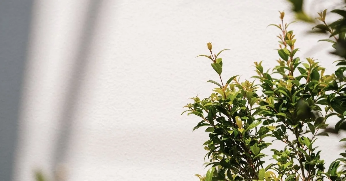 Must-Have Eco-Friendly Gadgets for 2025