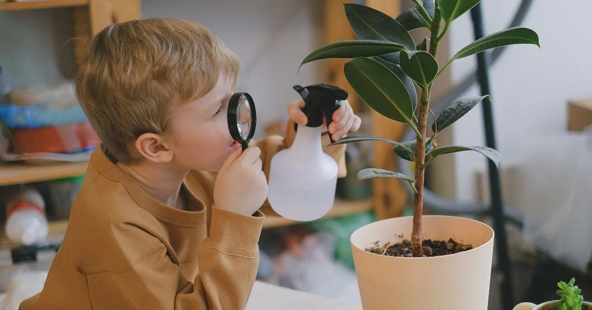 How to Spot Greenwashing in 2025: Avoid These Red Flags