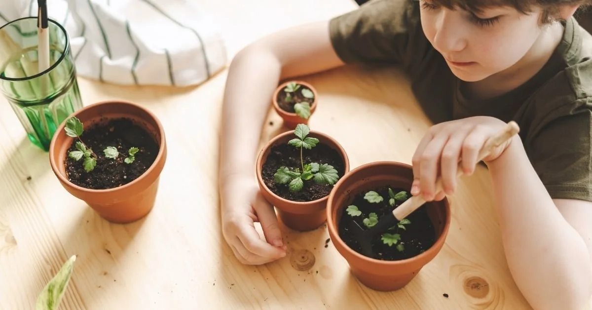 Urban Gardening: A Guide to Growing Food in Small City Spaces