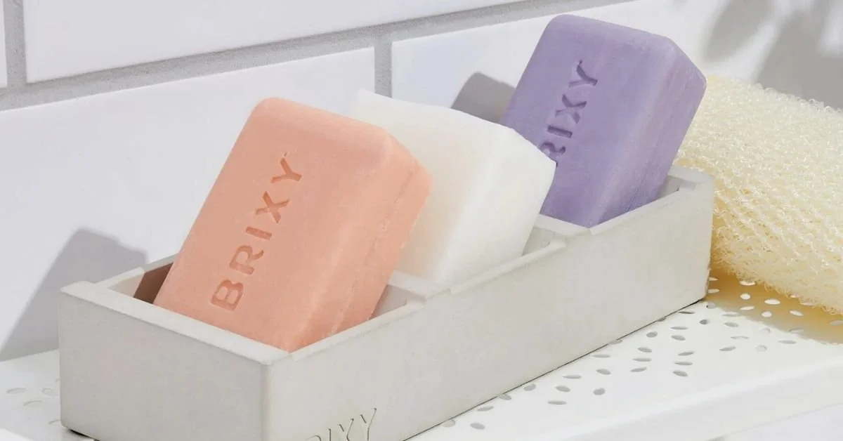 BRIXY: A Personal Journey Toward a Sustainable and Healthy Lifestyle