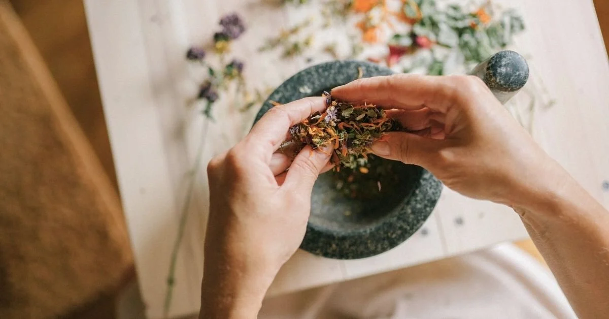 Non-Toxic Mosquito Repellents: A Guide to Natural Protection