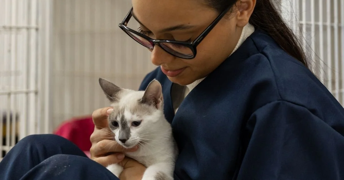 Open Intake vs Closed Intake Shelters: What’s the Difference?