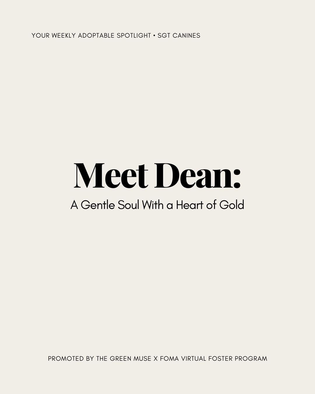 Meet Dean 🤍
A gentle soul with a heart of gold, Dean isn&rsquo;t just a dog; he&rsquo;s the kind of presence that turns a house into a home.

Calm, affectionate, and beautifully obedient, Dean thrives when he&rsquo;s included in everyday life. Movie