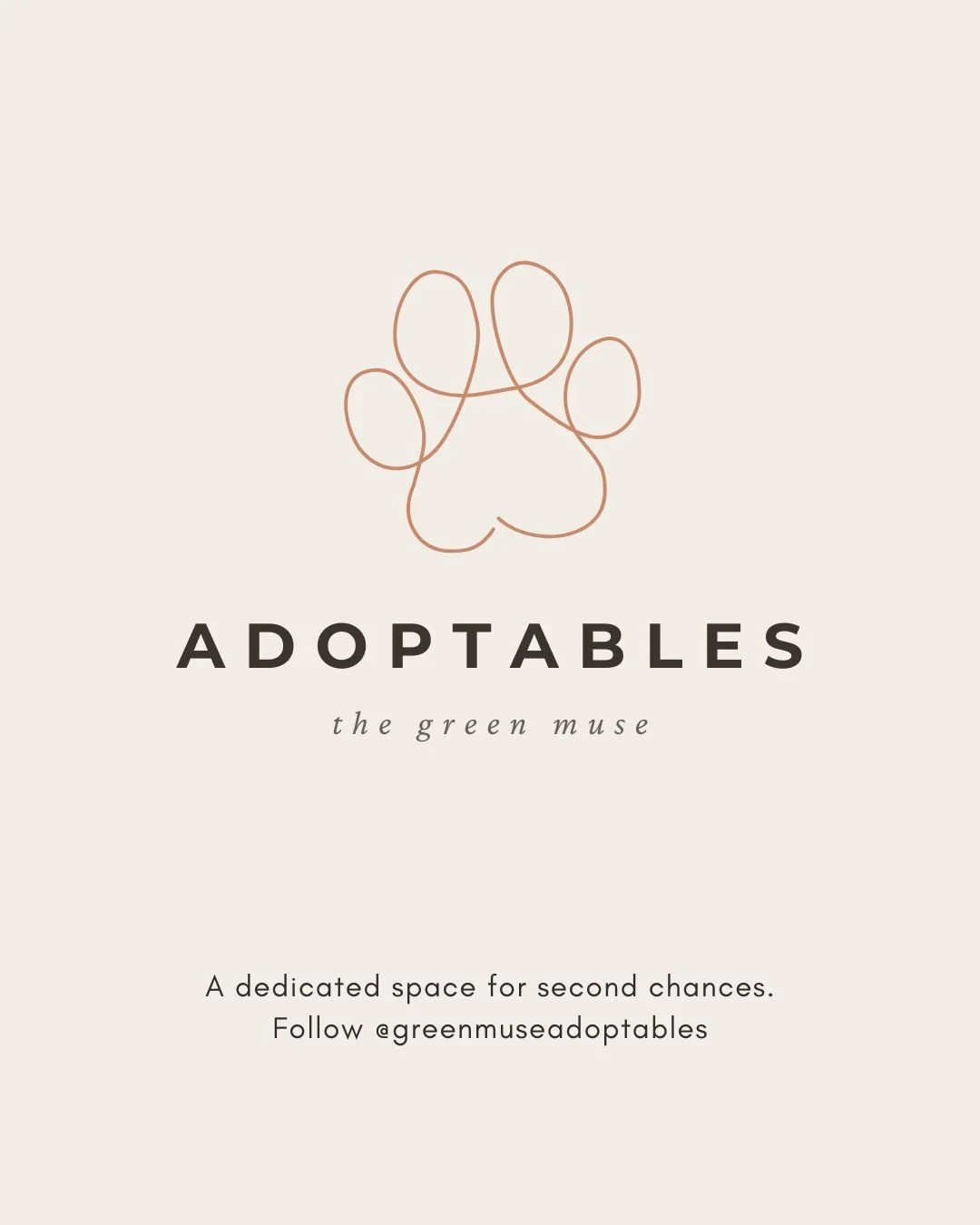Something new is blooming within The Green Muse.

From today forward, all adoptable dogs (and other animals in need of homes) will be shared through our new dedicated page: Green Muse Adoptables.

This space was created with intention.

To give every