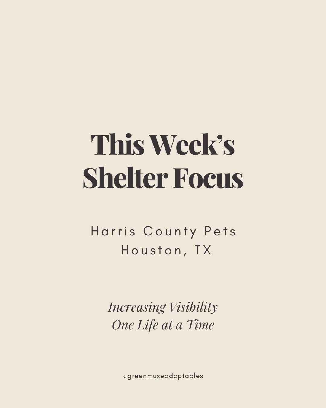 Each week, we focus on one shelter or county facing high intake or capacity challenges.

Last week: Miami-Dade.
This week: Harris County Pets (TX).

Our goal is simple,  increase visibility for adoptable animals in overcrowded U.S. shelters and help 