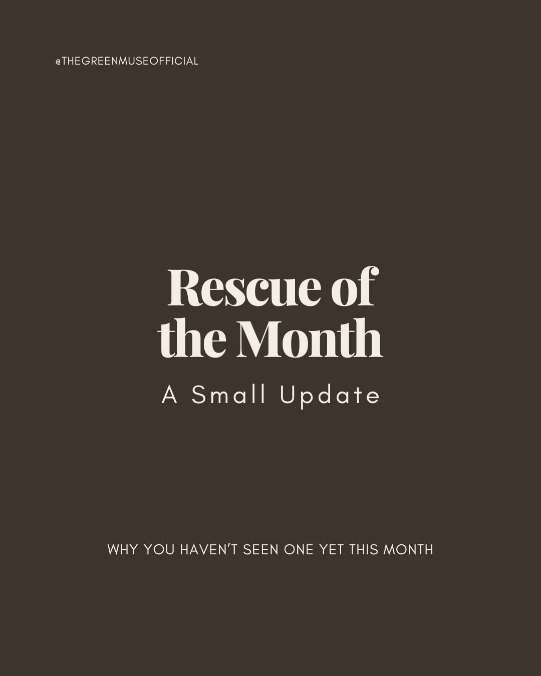 We&rsquo;re always thinking about ways to support rescues more effectively. Because of that, we&rsquo;re updating our Rescue of the Month feature to include more thoughtful research and a deeper spotlight on the organizations we highlight.

Nothing h
