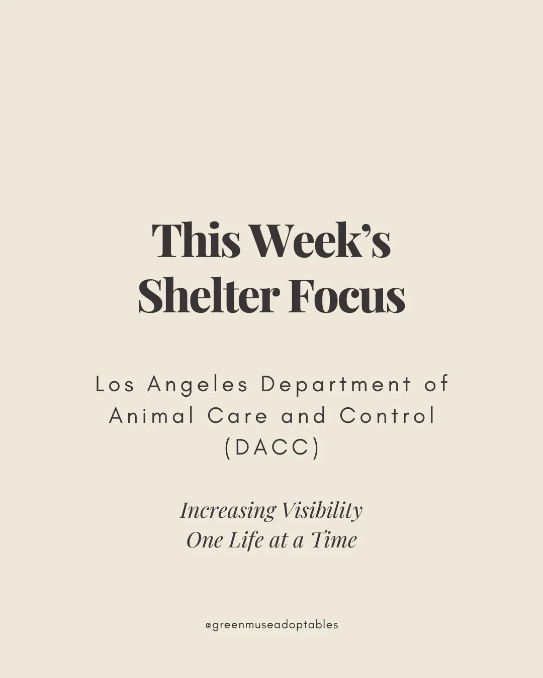 𝐓𝐡𝐢𝐬 𝐖𝐞𝐞𝐤&rsquo;𝐬 𝐒𝐩𝐨𝐭𝐥𝐢𝐠𝐡𝐭: 𝐋𝐨𝐬 𝐀𝐧𝐠𝐞𝐥𝐞𝐬 𝐂𝐨𝐮𝐧𝐭𝐲 𝐃𝐀𝐂𝐂

𝘞𝘩𝘦𝘳𝘦 𝘰𝘷𝘦𝘳𝘭𝘰𝘰𝘬𝘦𝘥 𝘴𝘰𝘶𝘭𝘴 𝘢𝘳𝘦 𝘸𝘢𝘪𝘵𝘪𝘯𝘨 𝘧𝘰𝘳 𝘴𝘰𝘮𝘦𝘰𝘯𝘦 𝘵𝘰 𝘧𝘪𝘯𝘢𝘭𝘭𝘺 𝘴𝘦𝘦 𝘵𝘩𝘦𝘮.

This week, our hearts are with th