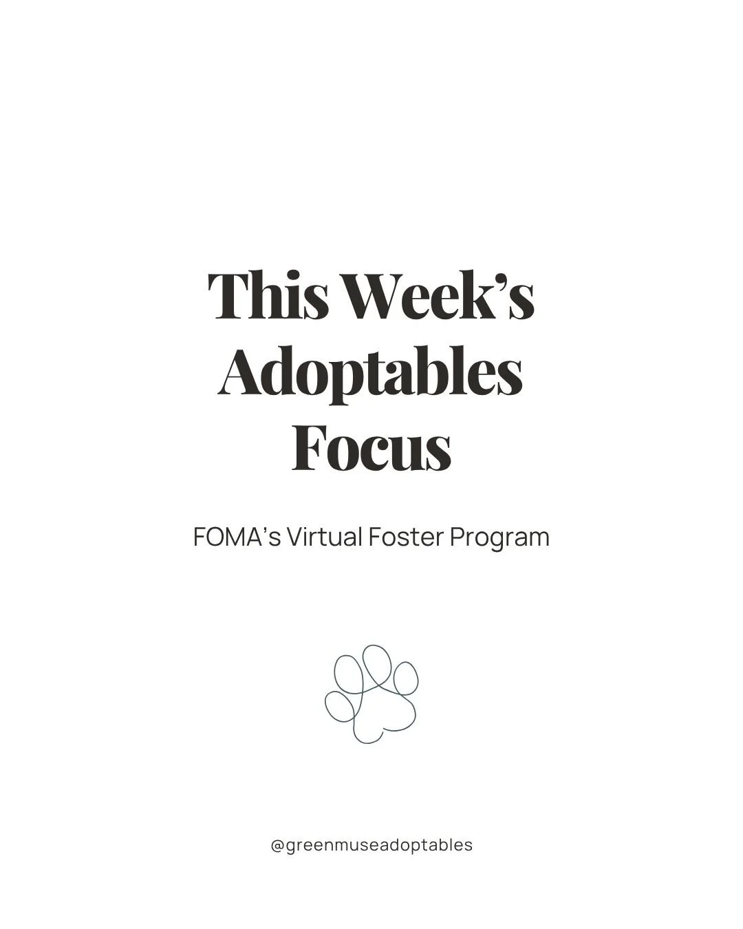 This week on Adoptables, we&rsquo;re highlighting the incredible dogs still waiting for forever homes through FOMA&rsquo;s Virtual Foster Program. Each pup has their own spark, their own story, and their own chance, and your shares help them get seen