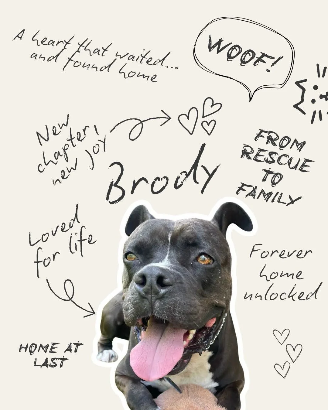 These are the updates we love to share, the ones that remind us why we do this. Seeing these beautiful babies find their forever homes fills our hearts with so much joy.

But even as we celebrate, we know the work doesn&rsquo;t end here. There are st