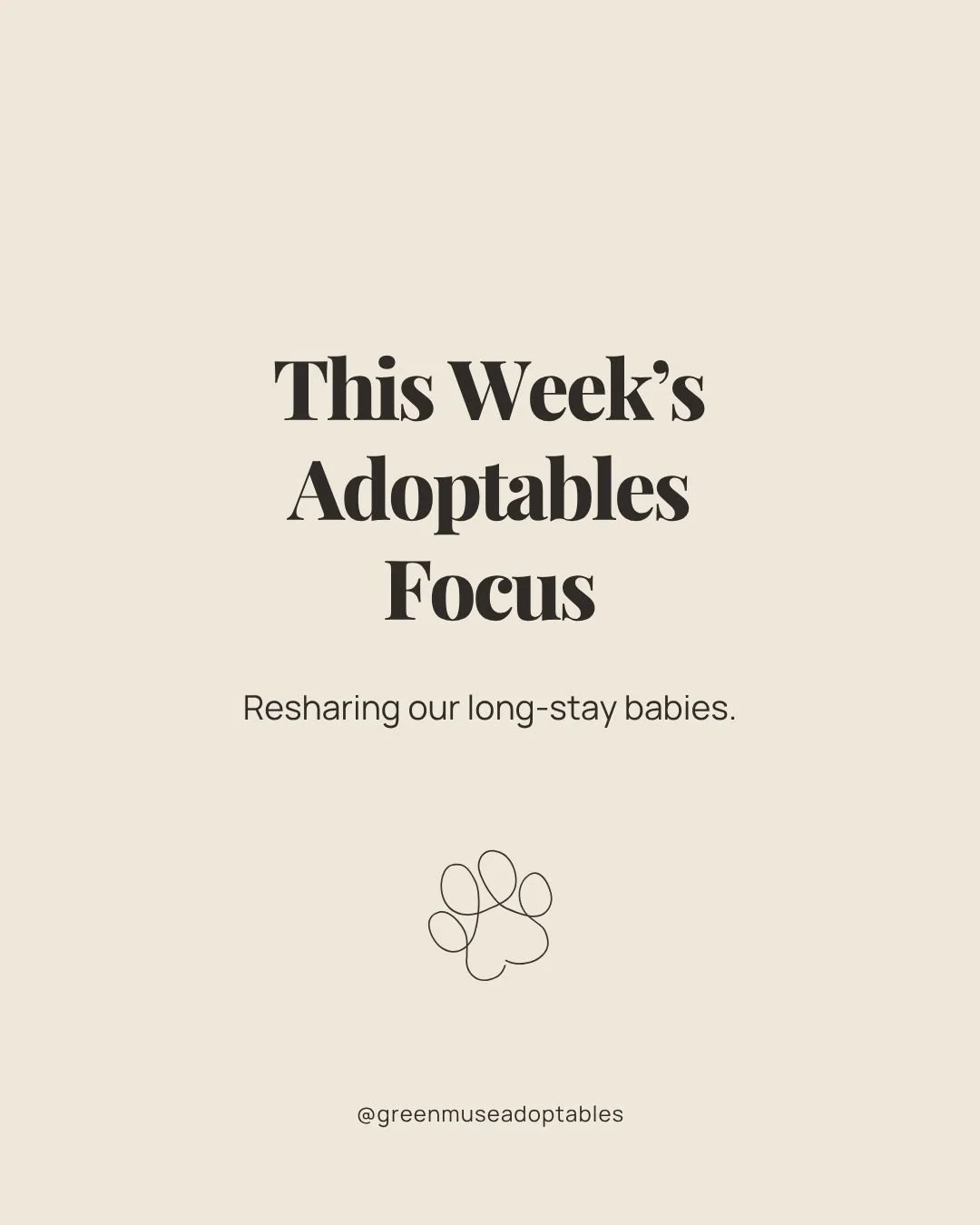 We&rsquo;re resharing some of the incredible pets we&rsquo;ve promoted recently, because too many of them are still waiting. 

Some have been overlooked for months, some for years, and every single one deserves a safe, loving home. Until we see them 