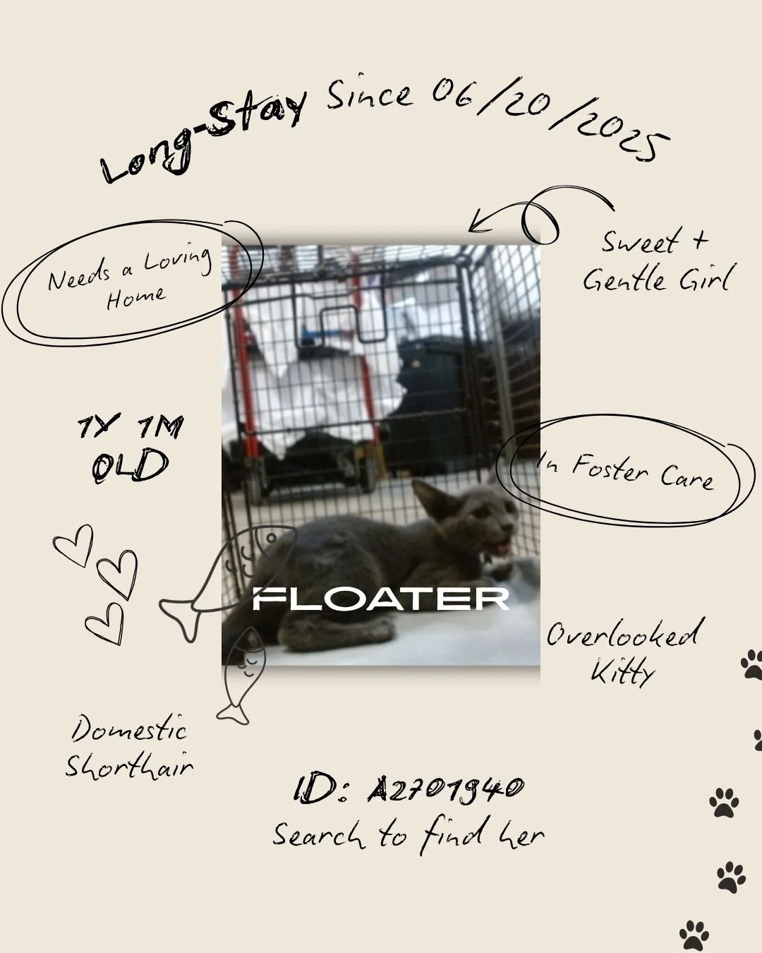 𝐓𝐡𝐢𝐬 𝐰𝐞𝐞𝐤, 𝐰𝐞&rsquo;𝐫𝐞 𝐟𝐨𝐜𝐮𝐬𝐢𝐧𝐠 𝐨𝐧 𝐭𝐡𝐞 𝐥𝐨𝐧𝐠‑𝐬𝐭𝐚𝐲 𝐩𝐞𝐭𝐬, 𝐭𝐡𝐞 𝐨𝐧𝐞𝐬 𝐰𝐞&rsquo;𝐯𝐞 𝐬𝐡𝐚𝐫𝐞𝐝 𝐛𝐞𝐟𝐨𝐫𝐞 𝐰𝐡𝐨 𝐚𝐫𝐞 𝐬𝐭𝐢𝐥𝐥 𝐰𝐚𝐢𝐭𝐢𝐧𝐠 𝐟𝐨𝐫 𝐬𝐚𝐟𝐞, 𝐥𝐨𝐯𝐢𝐧𝐠 𝐡𝐨𝐦𝐞𝐬. 𝐅𝐥𝐨𝐚𝐭𝐞𝐫 𝐢?