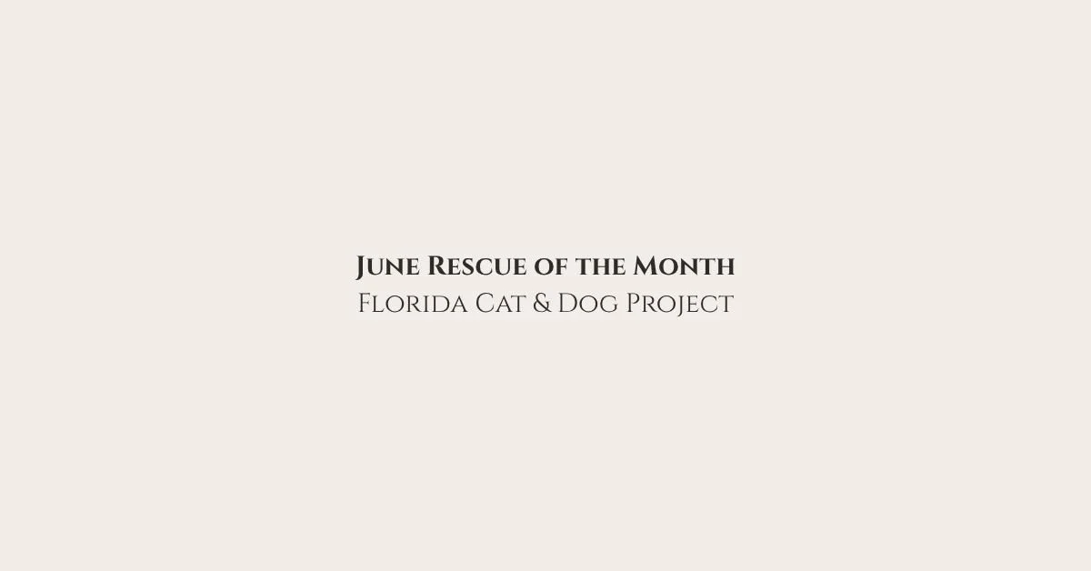 ⭐Rescue of the Month: Florida Cat &amp; Dog Project (Port St. Lucie, FL)