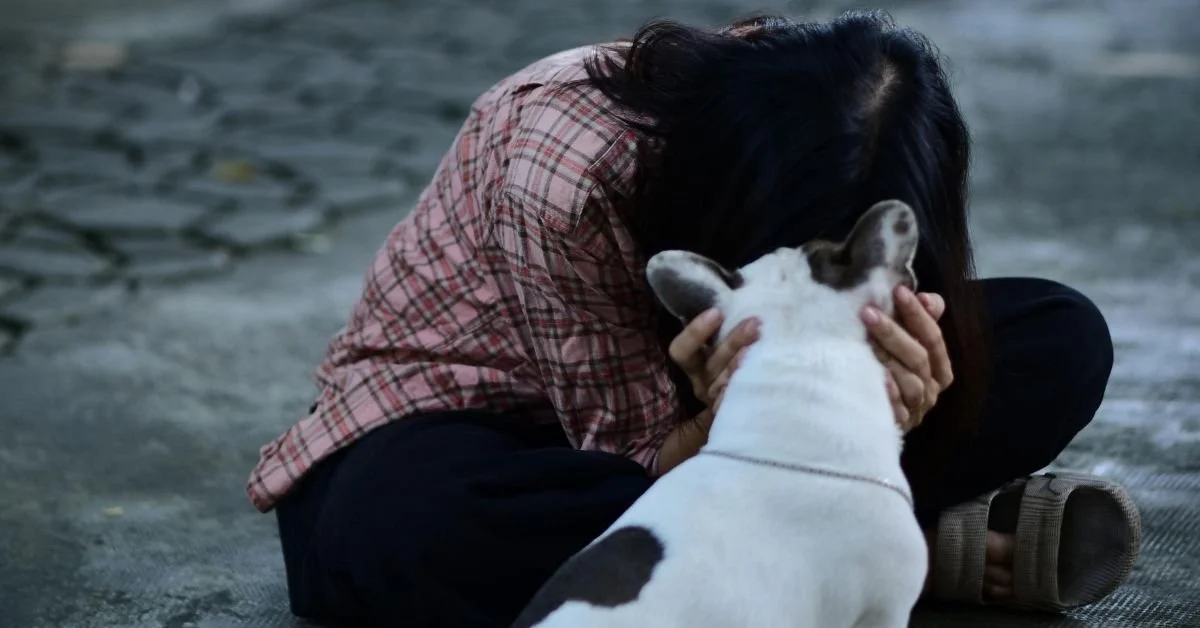 The Emotional Cost of Rescue: What We Don’t See Behind the Happy Endings