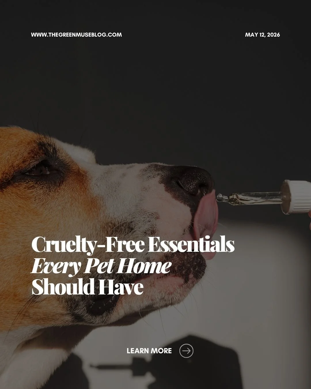 Cruelty‑free living starts at home.

These simple swaps protect your pets, reduce toxins, and support ethical brands doing better for animals and the planet.

#CrueltyFreeHome #PetParents #SustainableLiving