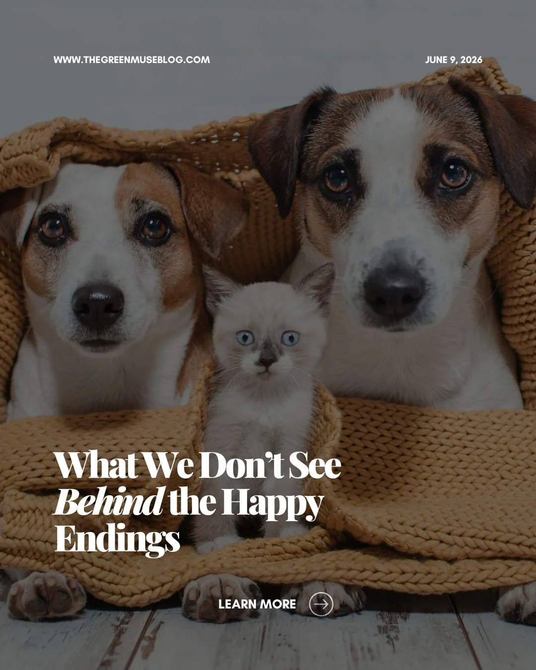 Behind every happy ending is emotional labor most people never see.
Rescue work is meaningful, and it&rsquo;s also heavy.

Let&rsquo;s hold space for both truths.
#EthicalRescue #CompassionFatigue #AnimalWelfare