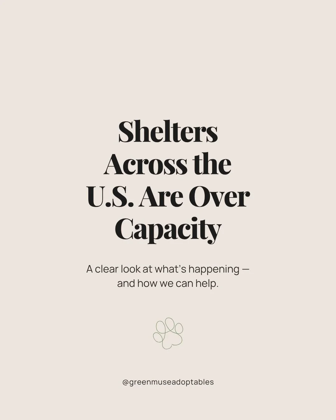 Many U.S. shelters are operating at or above capacity in 2026, especially those caring for medium and large dogs. This list highlights several of the municipal systems managing high daily intake, low reclaim rates, and slower adoption trends. Underst