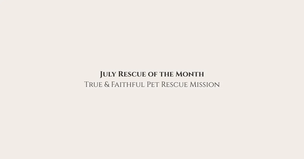 ⭐Rescue of the Month: True &amp; Faithful Pet Rescue Mission