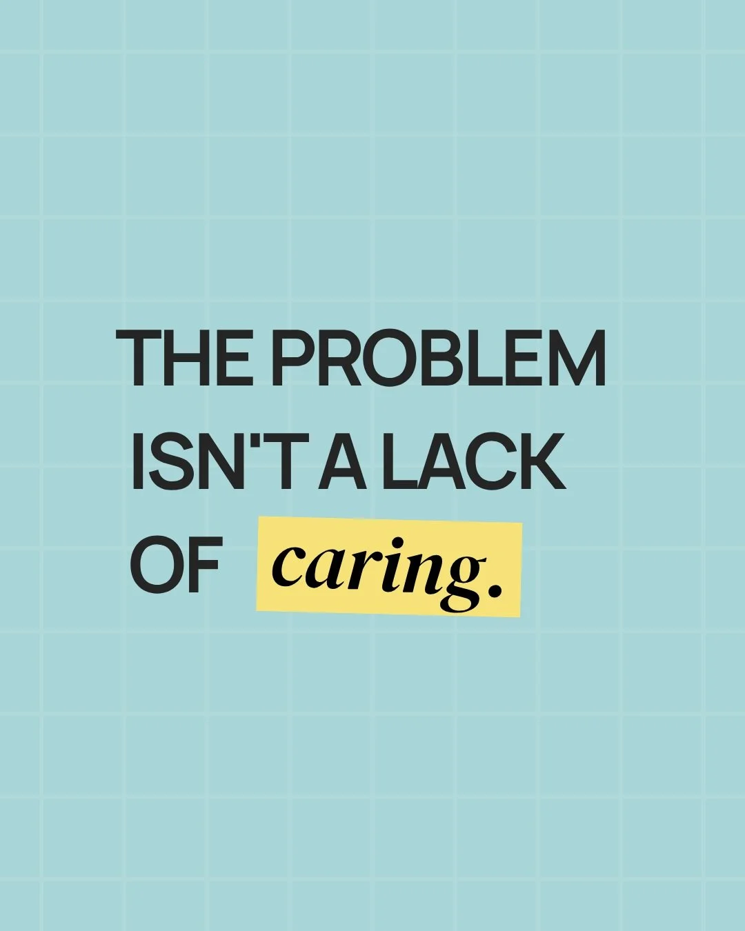 Caring isn't the problem.

When many animals need visibility at the same time, individual lives can disappear into the crowd.

EveryOne is exploring a different approach: slow the moment down, focus the spotlight, and give one animal the space to be 