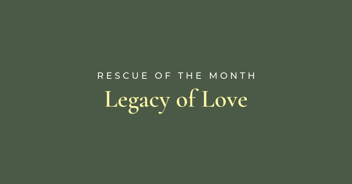 Rescue of the Month: Legacy of Love
