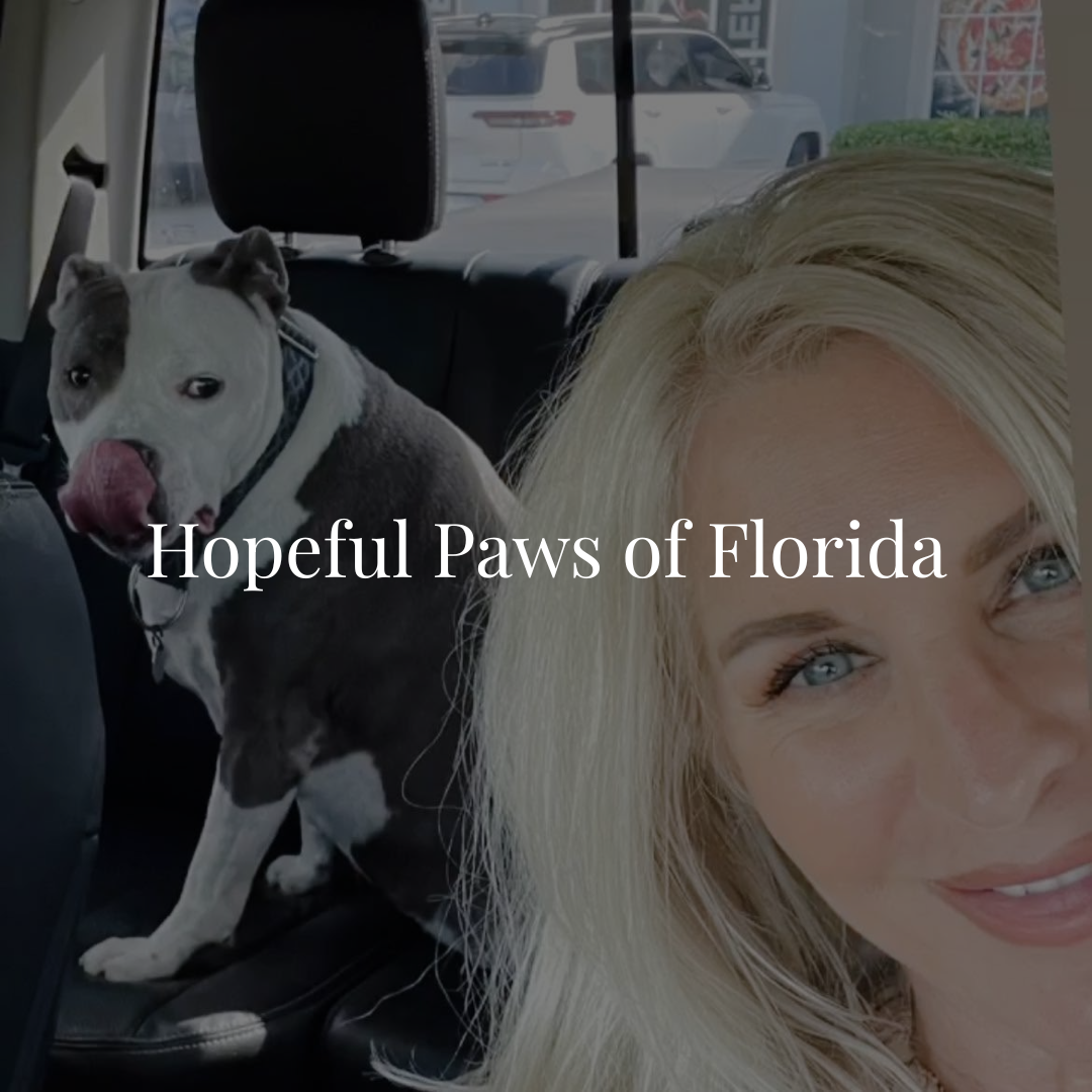 Hopeful Paws of Florida is a 501(c)(3) nonprofit dedicated to rescuing, rehabilitating, and rehoming abandoned and abused animals across Florida. 𝐅𝐞𝐚𝐭𝐮𝐫𝐞𝐝 𝐚𝐬 𝐨𝐮𝐫 𝐑𝐞𝐬𝐜𝐮𝐞 𝐨𝐟 𝐭𝐡𝐞 𝐌𝐨𝐧𝐭𝐡 𝐨𝐧 𝐀𝐩𝐫𝐢𝐥 𝟏, 𝟐𝟎𝟐𝟔.