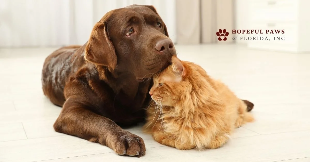 A large brown dog and an orange fluffy cat sitting together on a light-colored floor, snuggling and touching noses. The image has a logo for Hopeful Paws of Florida, Inc. in the top right corner.