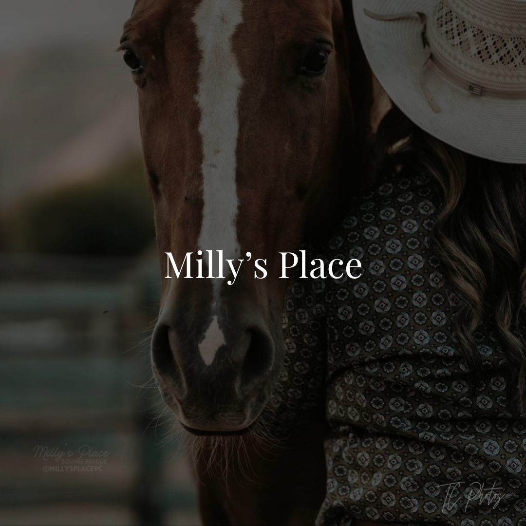 Milly’s Place is a nonprofit equine rescue in Valley Center, California, dedicated to rescuing, rehabilitating, and rehoming horses, mules, and donkeys. 

𝐅𝐞𝐚𝐭𝐮𝐫𝐞𝐝 𝐚𝐬 𝐨𝐮𝐫 𝐑𝐞𝐬𝐜𝐮𝐞 𝐨𝐟 𝐭𝐡𝐞 𝐌𝐨𝐧𝐭𝐡 𝐨𝐧 𝐎𝐜𝐭𝐨𝐛𝐞𝐫 𝟑, 𝟐𝟎𝟐