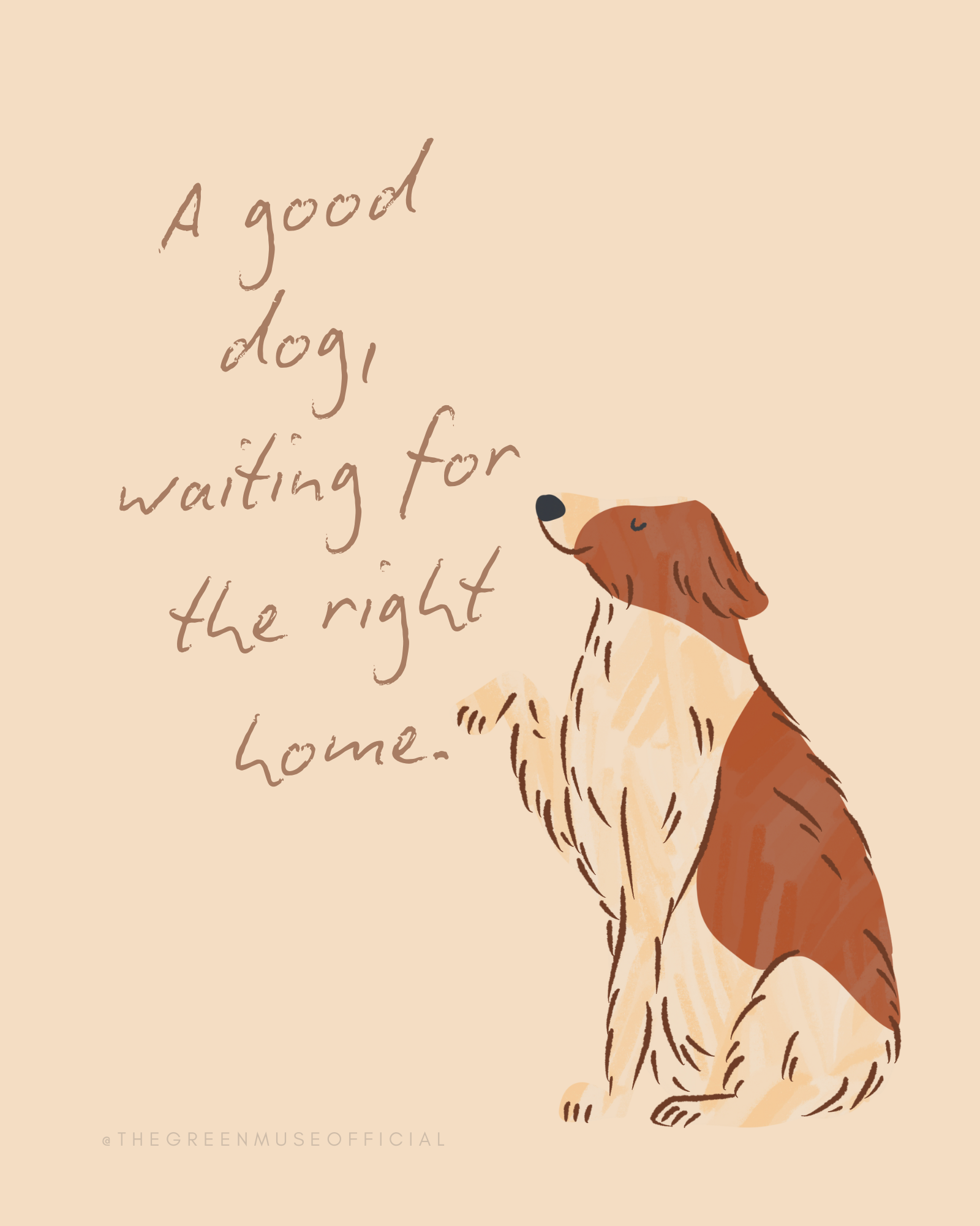 An illustration of a brown and white dog sitting with eyes closed, along with a handwritten-style quote that says, "A good dog, waiting for the right home."