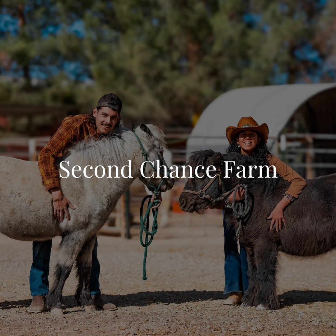 Second Chance Farm is an animal sanctuary in Pahrump, Nevada, providing lifelong care and a safe haven for abused and neglected animals. 𝐅𝐞𝐚𝐭𝐮𝐫𝐞𝐝 𝐚𝐬 𝐨𝐮𝐫 𝐑𝐞𝐬𝐜𝐮𝐞 𝐨𝐟 𝐭𝐡𝐞 𝐌𝐨𝐧𝐭𝐡 𝐨𝐧 𝐍𝐨𝐯𝐞𝐦𝐛𝐞𝐫 𝟕, 𝟐𝟎𝟐𝟓.