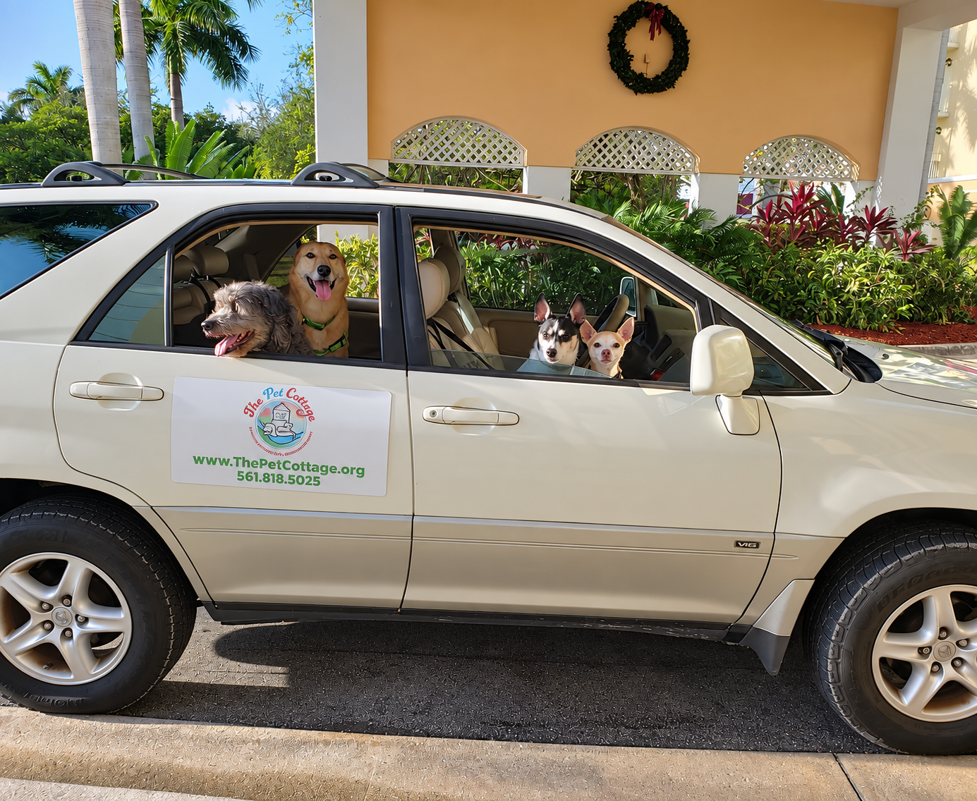 A white pet transportation vehicle with six dogs inside parked in front of a building with tropical plants and a wreath on the wall, featuring a sign for The Pet Cottage with website and phone number.