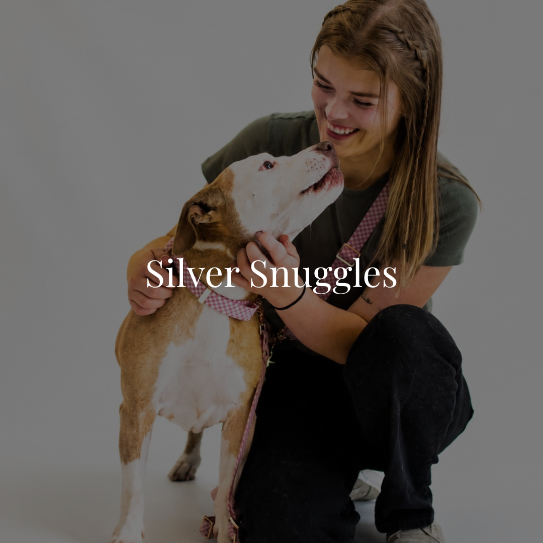 Silver Snuggles is a private sanctuary in Georgia dedicated to providing permanent care for senior and special-needs dogs.

𝐅𝐞𝐚𝐭𝐮𝐫𝐞𝐝 𝐚𝐬 𝐨𝐮𝐫 𝐑𝐞𝐬𝐜𝐮𝐞 𝐨𝐟 𝐭𝐡𝐞 𝐌𝐨𝐧𝐭𝐡 𝐨𝐧 𝐒𝐞𝐩𝐭𝐞𝐦𝐛𝐞𝐫 𝟏, 𝟐𝟎𝟐𝟔.