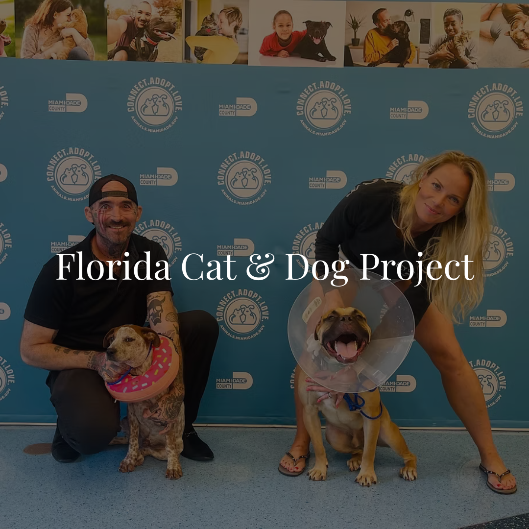 The Florida Cat and Dog Project is a 501(c)(3) no-kill rescue dedicated to rescuing, rehabilitating, and finding homes for stray, abandoned, and at-risk cats and dogs in Florida. 𝐅𝐞𝐚𝐭𝐮𝐫𝐞𝐝 𝐚𝐬 𝐨𝐮𝐫 𝐑𝐞𝐬𝐜𝐮𝐞 𝐨𝐟 𝐭𝐡𝐞 𝐌𝐨𝐧𝐭𝐡 𝐨𝐧 ?