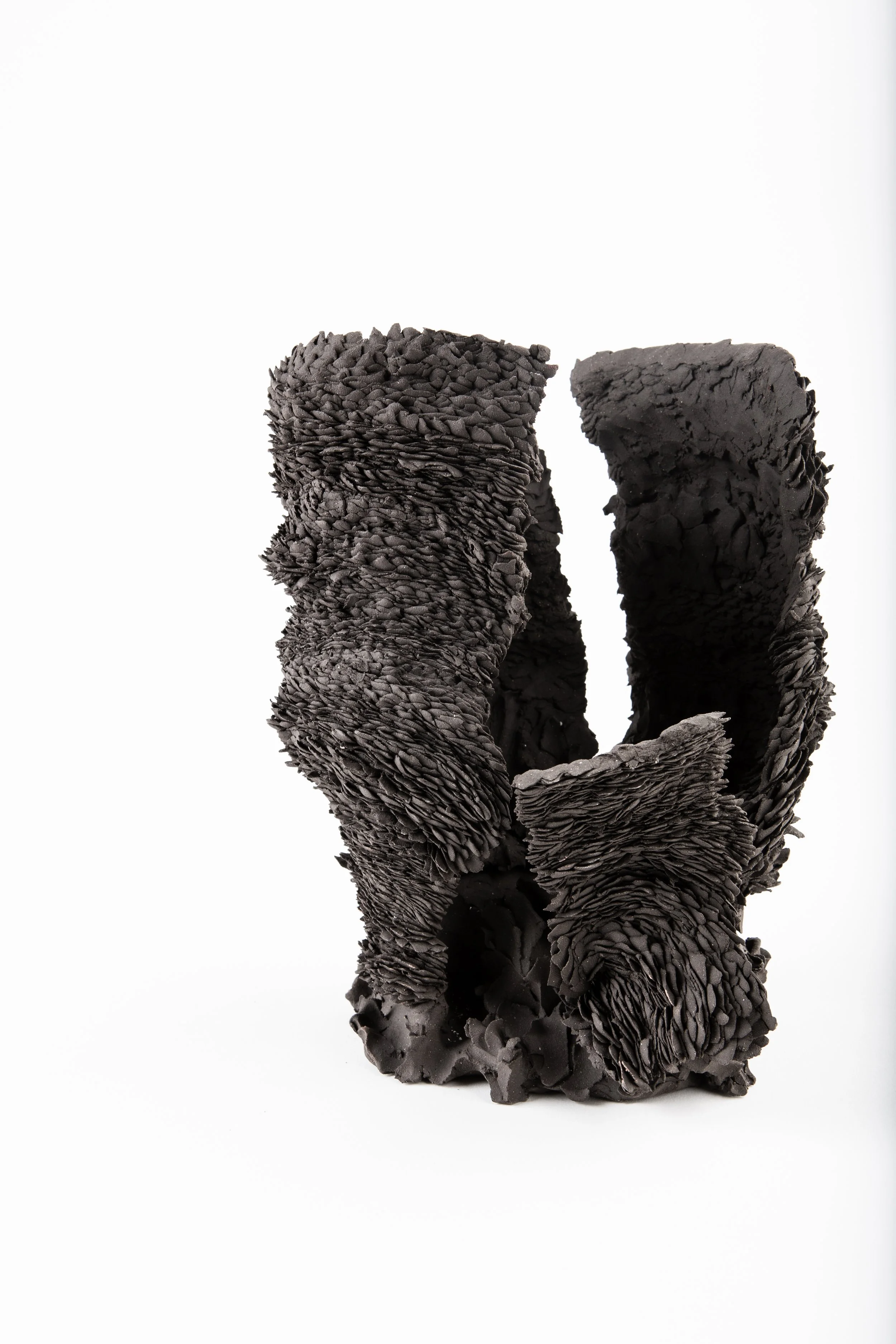 photo by Robert Chadwick_0076_HigRes.JPG