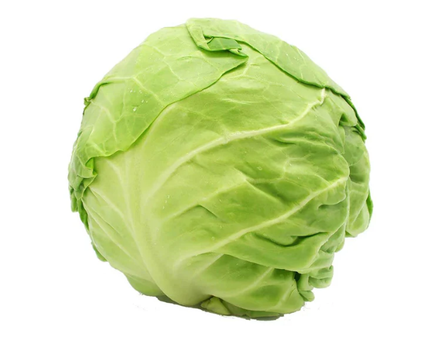 Cabbage- Green, Small