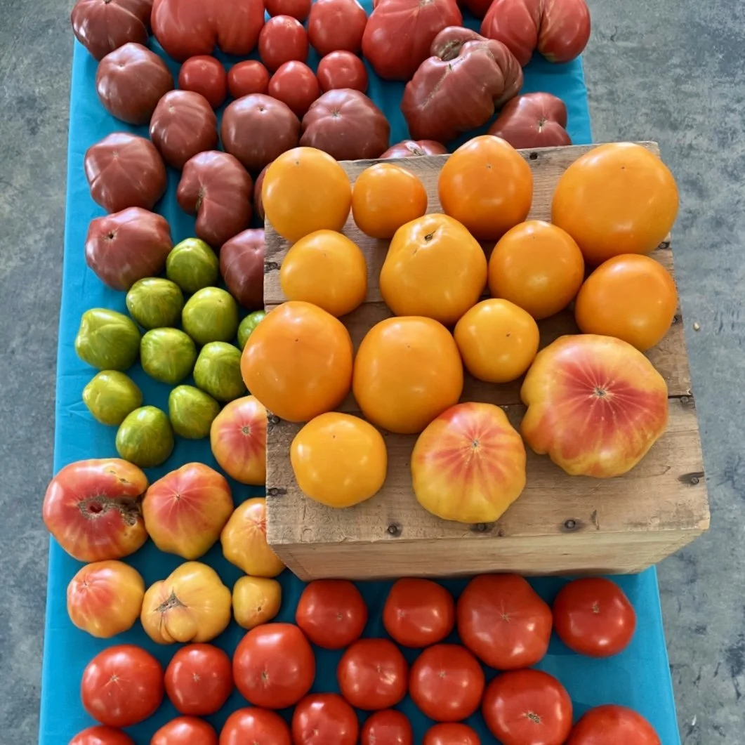 Slicing Tomatoes- Assorted Colors, 1 Pound