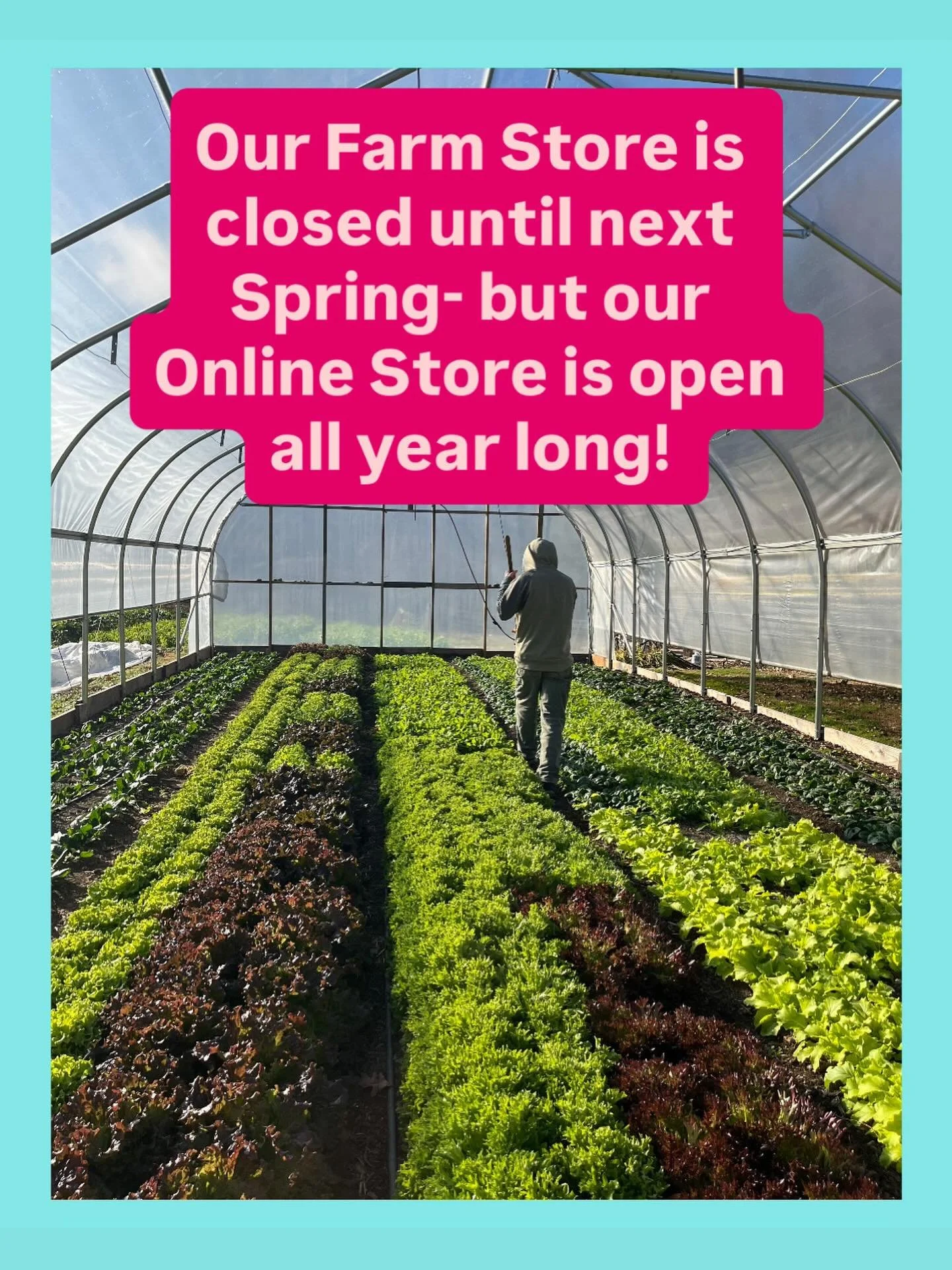 Thank you for a great last day of our Farm Store for the 2025 season! ✨

We will still be selling fresh greens, carrots, beets, cabbage, potatoes, onions, sweet potatoes, winter squash and more all winter long on our Online Store. Check it out on our