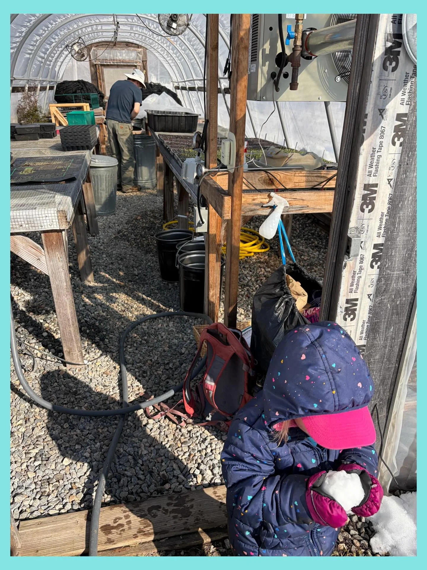 It was a snowballs in the greenhouse kind of day! Still tons of snow covering the farm, but we cleared a path today because it was our first official day of seeding in our greenhouse for 2026 😎🤩🌱