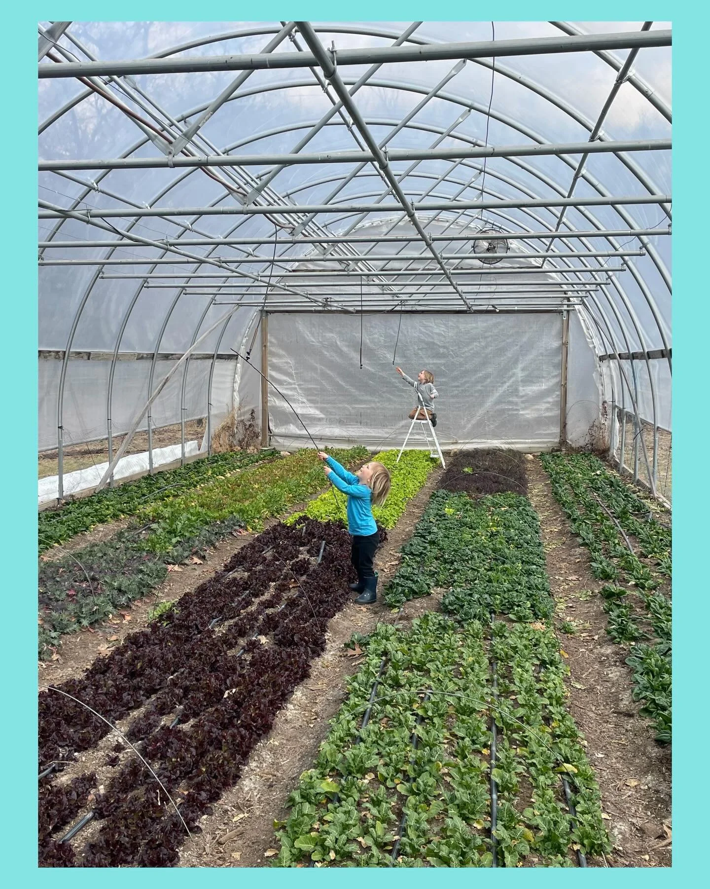 Our Irrigation crew checking the sprinklers 🛠️💧