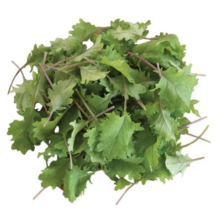 Screenshot 2026-03-29 135248.jpg