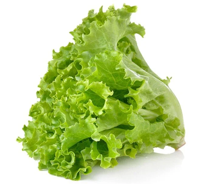 Lettuce Head, Green