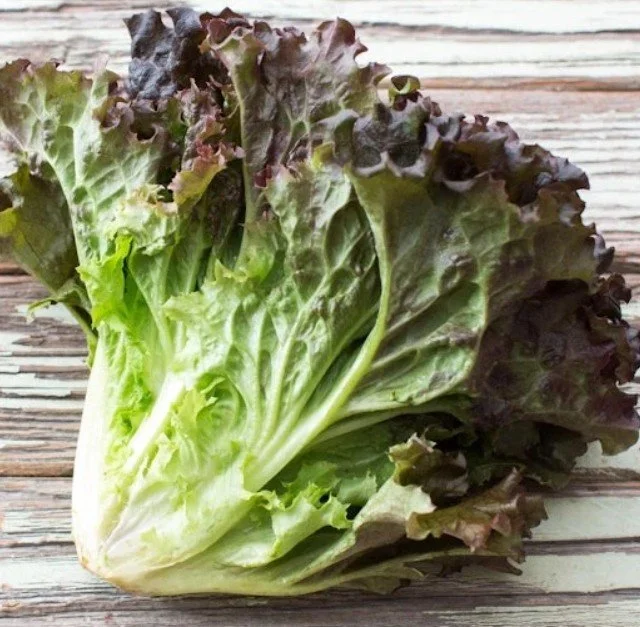 Lettuce Head, Red