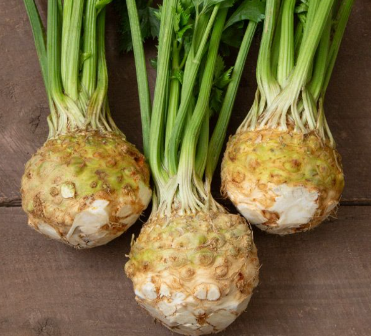 Screenshot 2026-01-12 7.37.54 AM.png