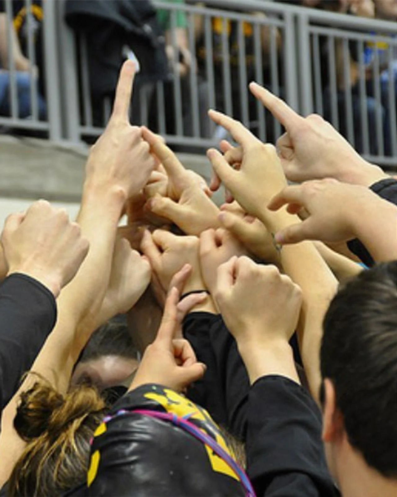 It&rsquo;s meet day! 🦁