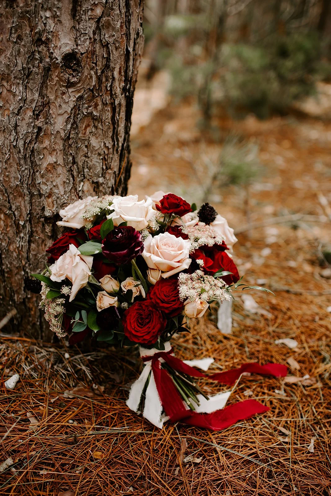 A bouquet of red, white, and dark purple roses with greenery, tied with red and white ribbons, leaning against a tree in a forest setting.