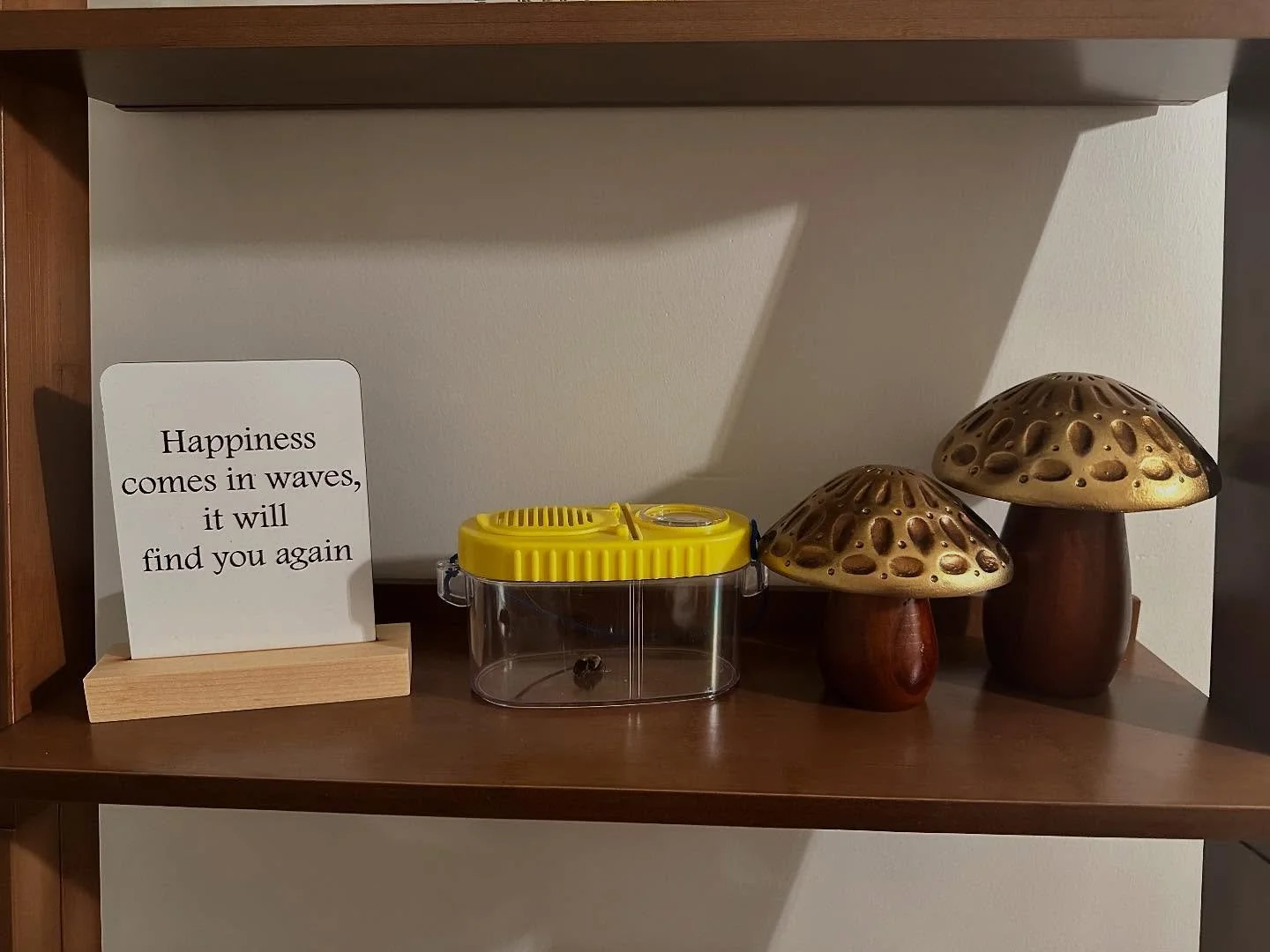Our newest addition to Golden Hour Therapy- &ldquo;Buzz&rdquo; the Thera-Bee 🐝

Buzz is helping us face our fears of stinging insects. We were able to hold him with minimal anxiety! We also created &ldquo;Bug Bingo&rdquo; to work on our fears of bei