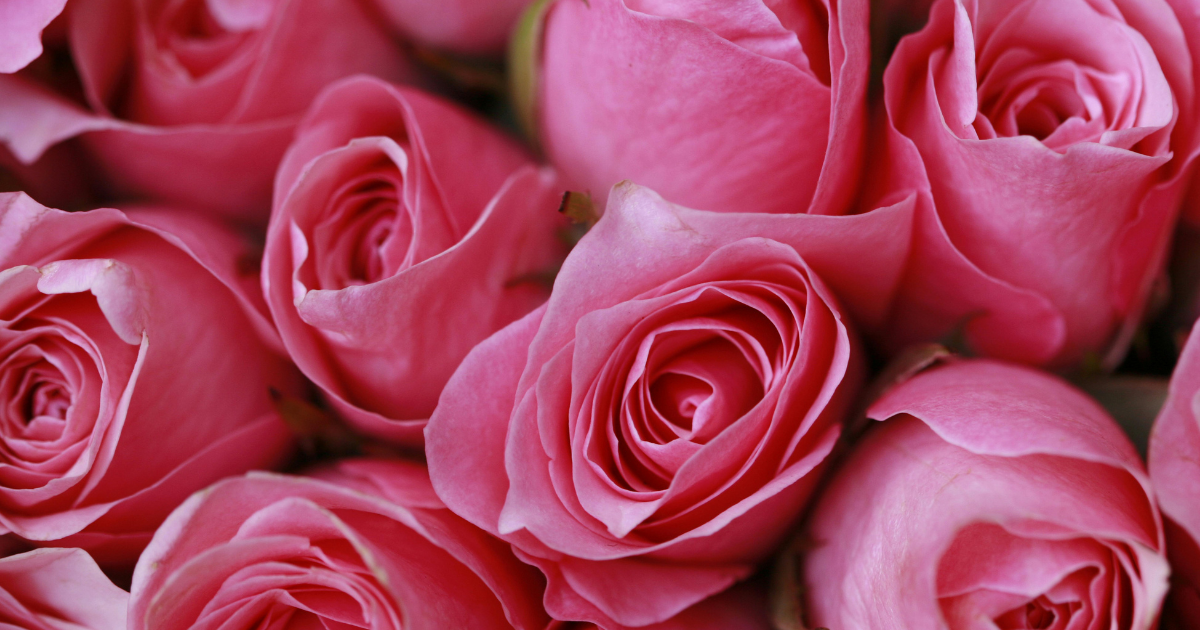 Loving Someone with OCD: What Helps and What Doesn’t