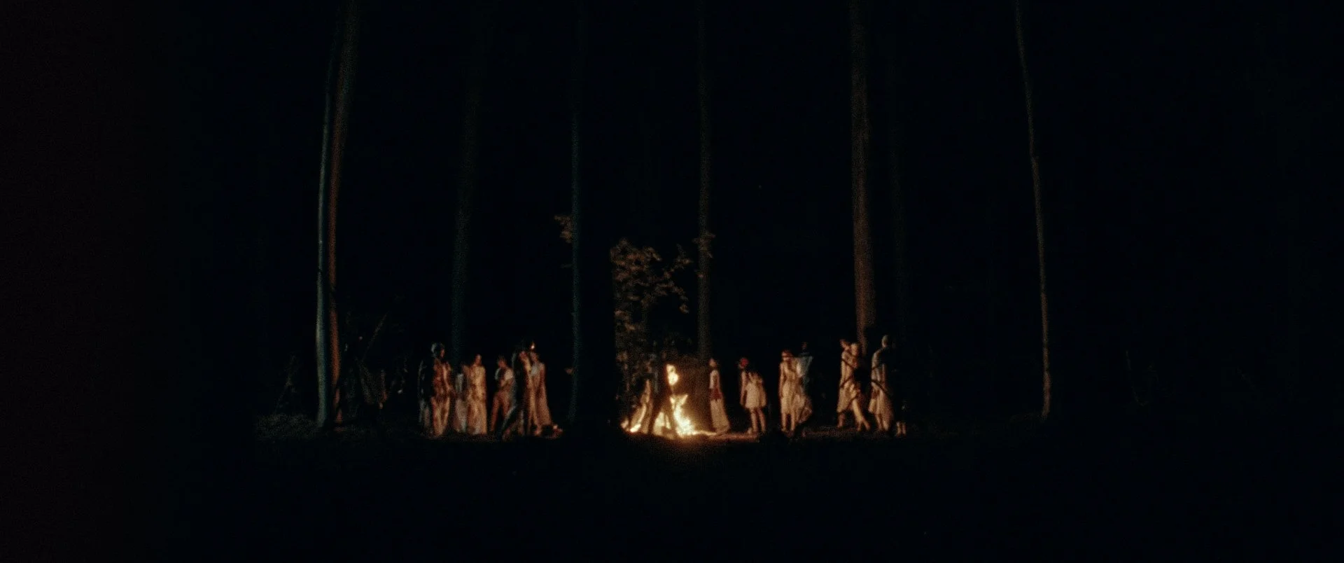 TDP_FINAL_STILLS_-70.jpeg