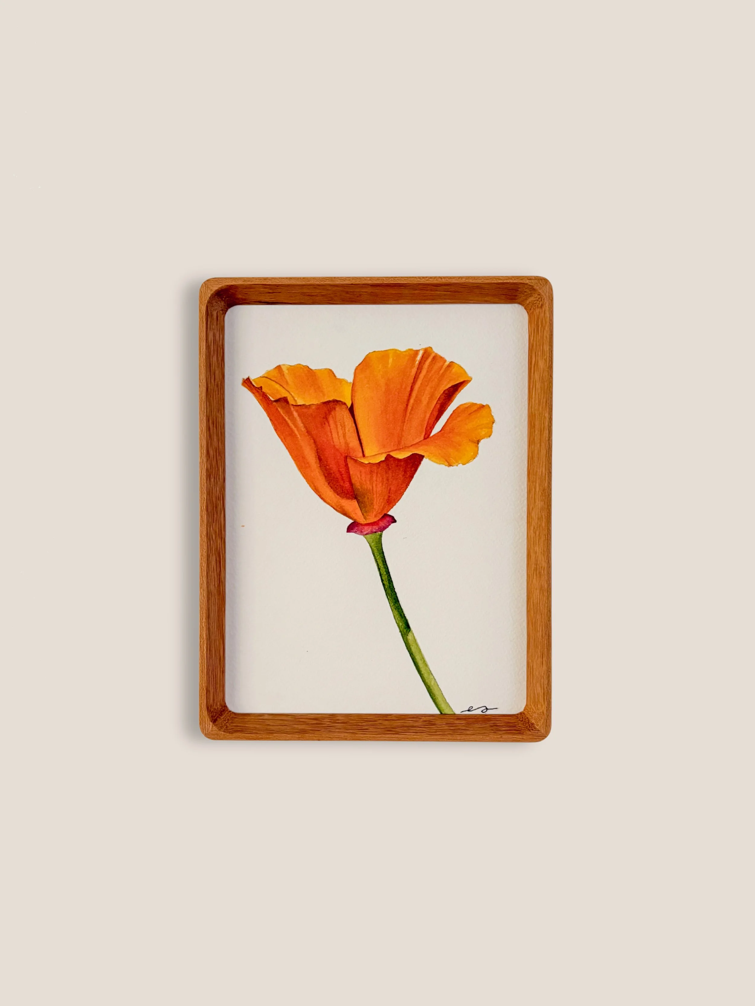 Original small framed watercolor painting of a single California poppy in tangerine orange on a white background, in a warm wood frame