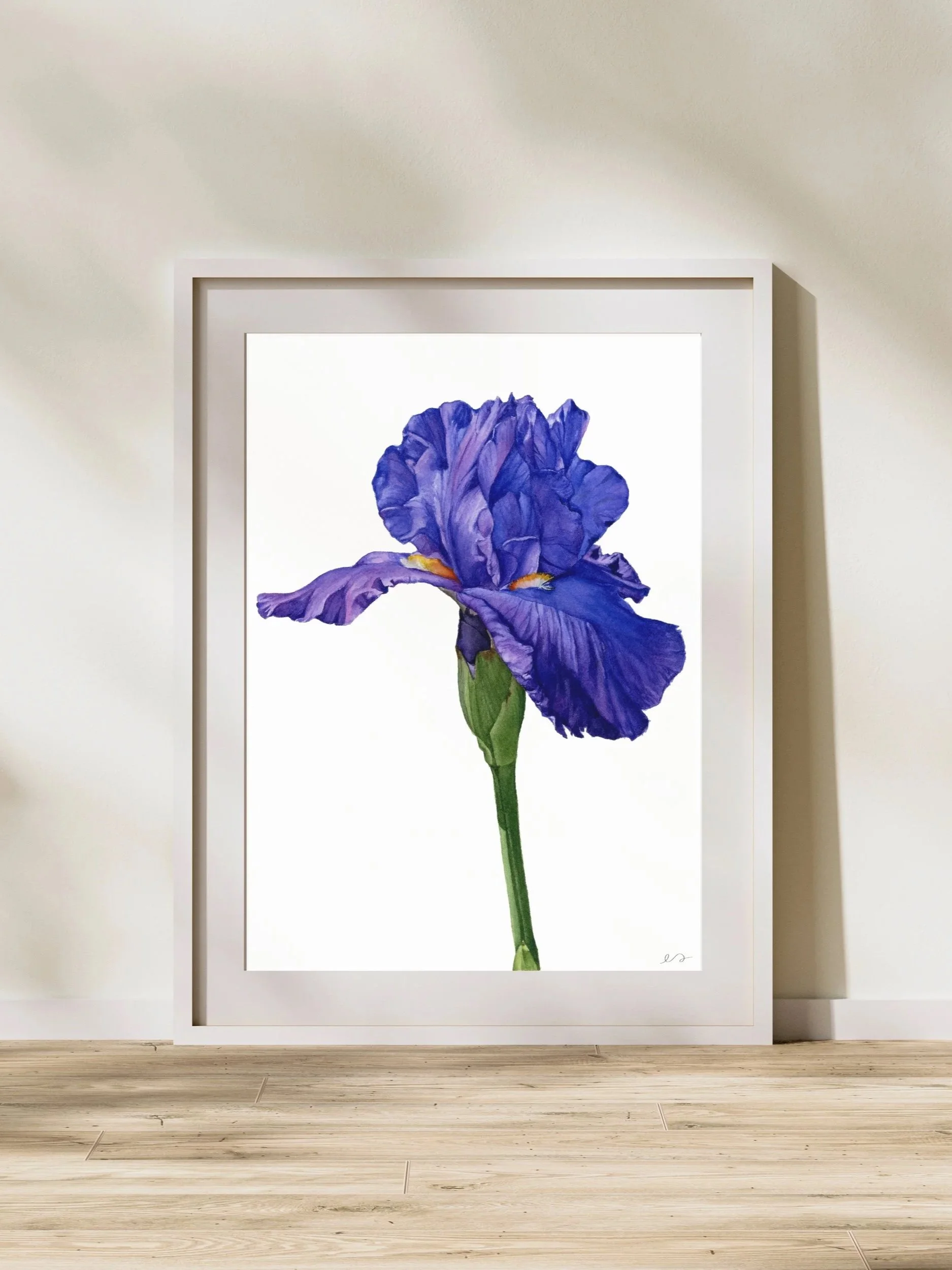 mockup5+%283%29.jpg