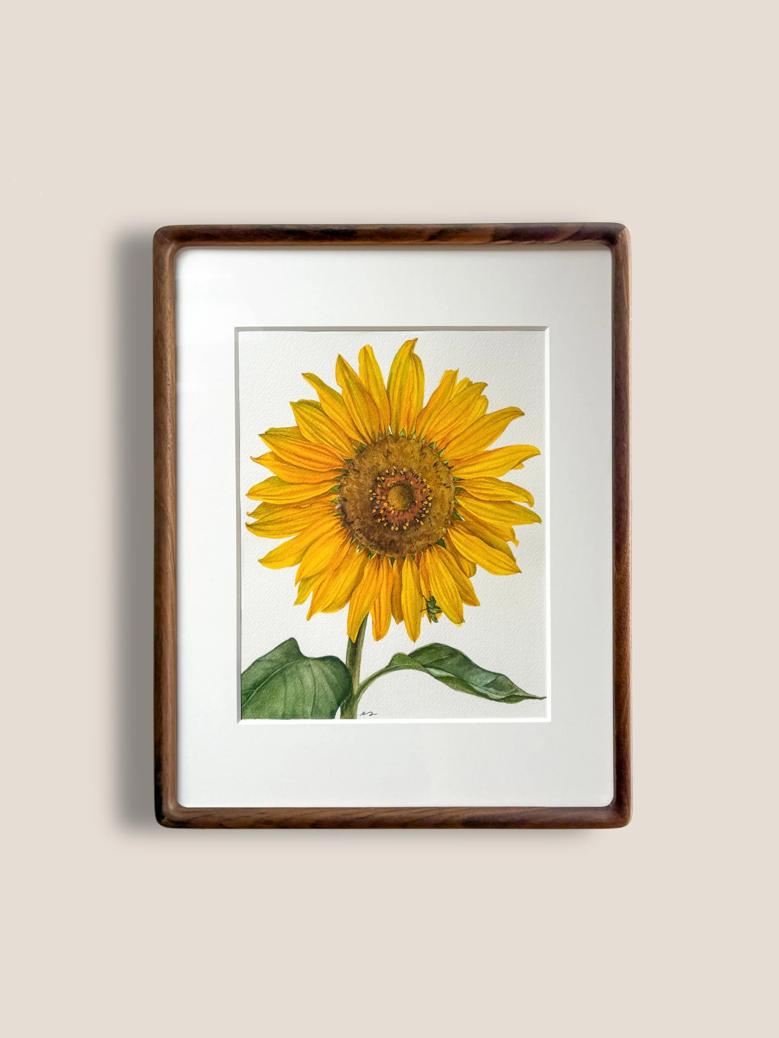 Sunflower, Vol. 6